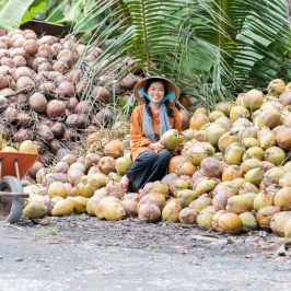 Fresh coconut imports from Vietnam to the US increased by 4 digits